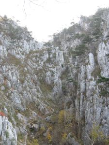 Cheile Å¢Äƒsnei