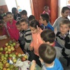 click pentru mărire Activități de voluntariat - SNAC - 2017