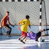click pentru mărire Cupa Centenarului la fotbal #18