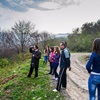 click pentru mărire DrumeÈ›ie în Baia de Aramă - Școala altfel - 2014