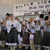 click pentru mărire Zilele liceului 2011